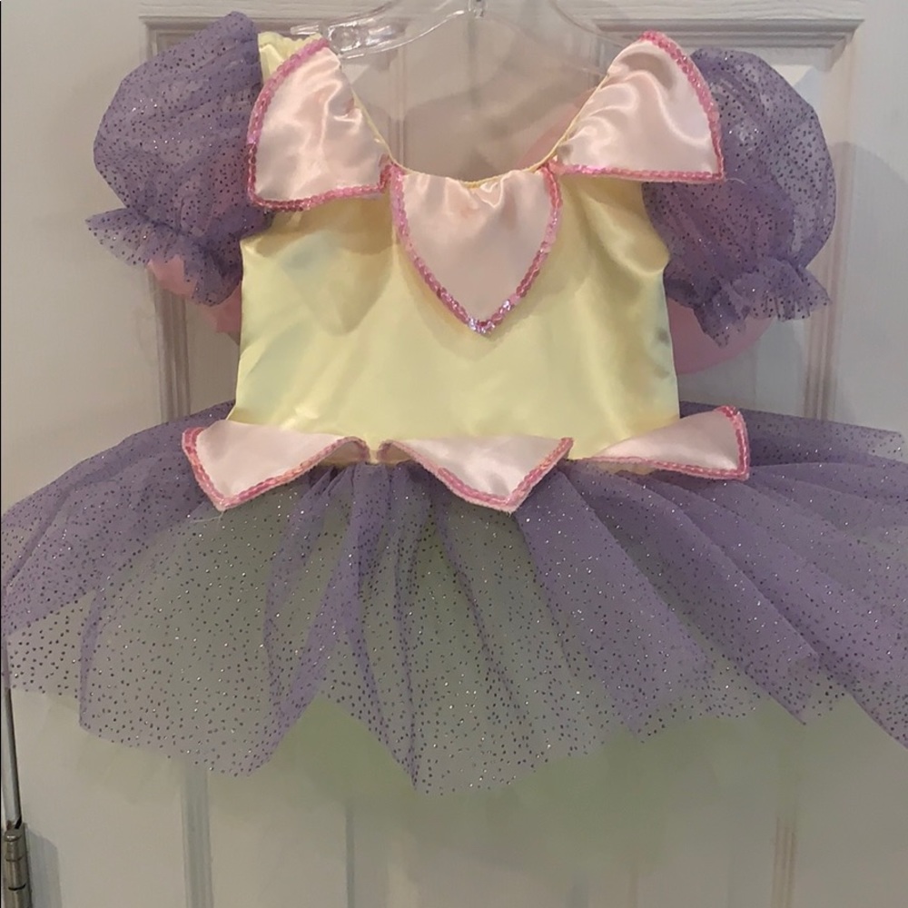 Child’s Butterfly Costume